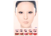 Les eye-liner/lèvres tatouent la peau permanente s'exerçante de pratique en matière de maquillage colorée