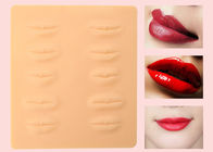Les lèvres lavables du faux 3D pratiquent la peau pour la pratique en matière de maquillage de Microblading
